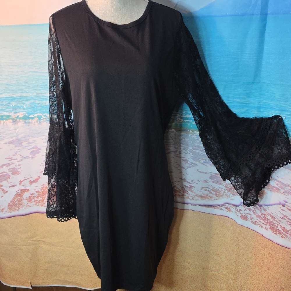 Elegant Black Lace Long Sleeve Dress Large